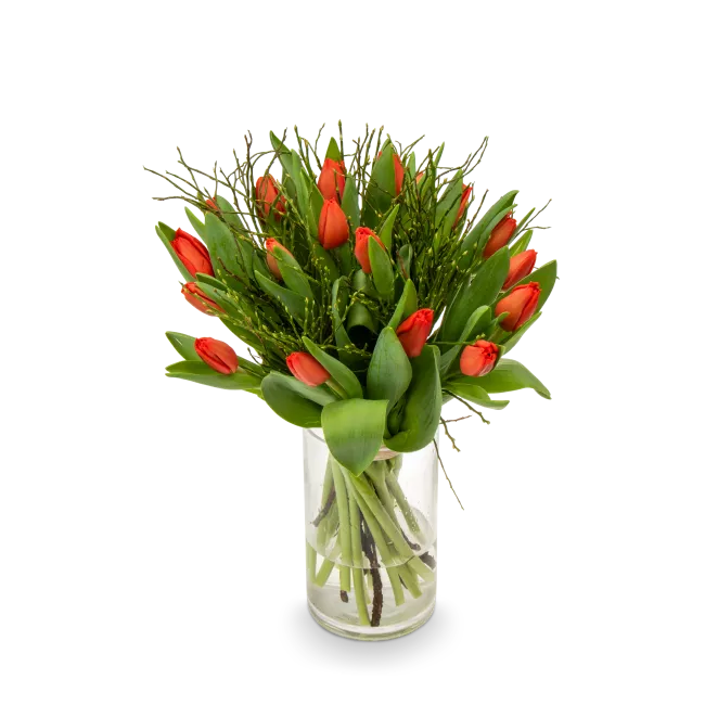 Kytice červených tulipánů